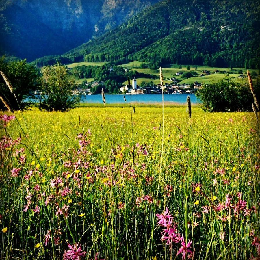 Fumerhof Strobl Bagian luar foto