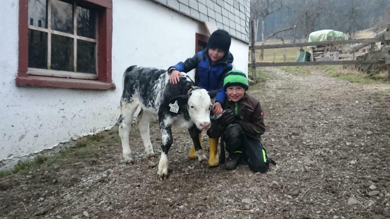 Fumerhof Strobl Bagian luar foto