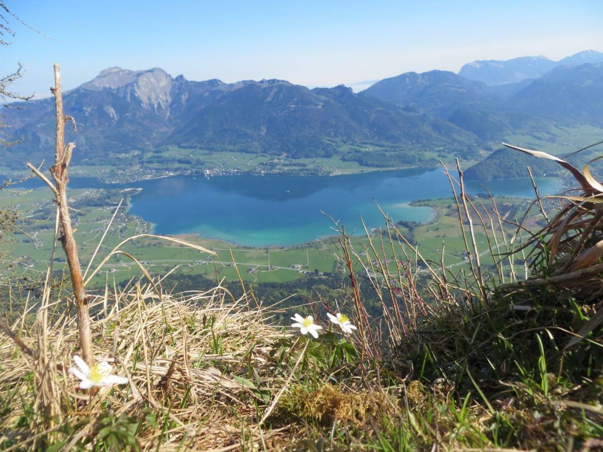 Fumerhof Strobl Bagian luar foto
