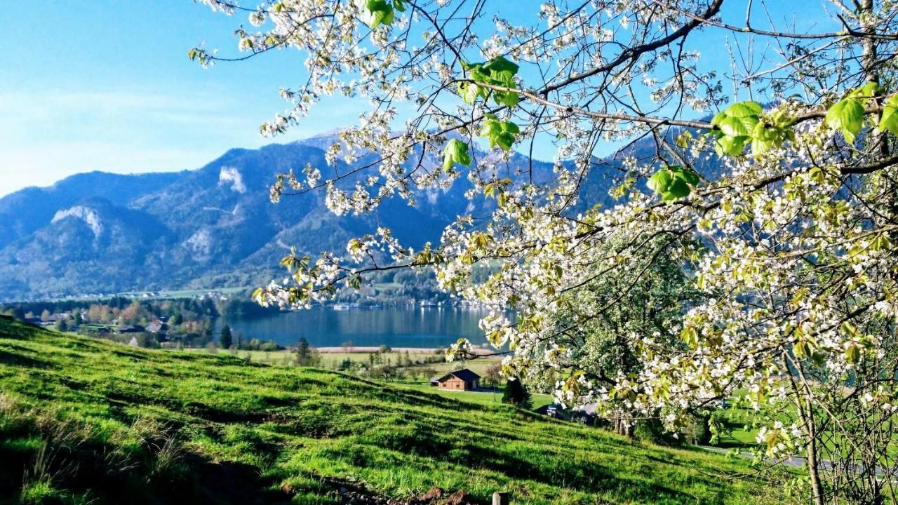 Fumerhof Strobl Bagian luar foto